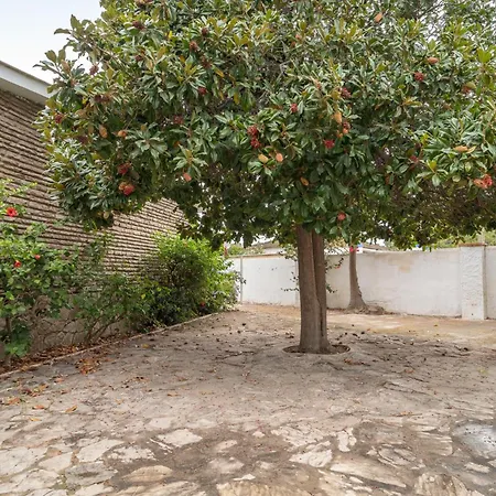 Tatil Evi 4 Bedroom Awesome In Palmones